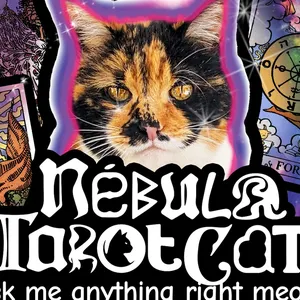 Nébula Tarot Cat