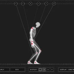 Skeleton Simulator