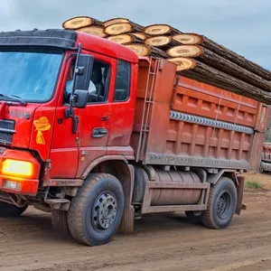 Cargo Truck Driver Simulator