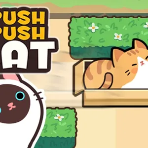 Push Push Cat