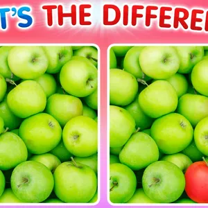 What's The Difference?