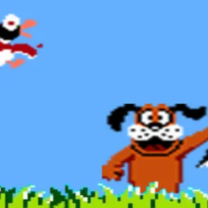 Duck Hunt